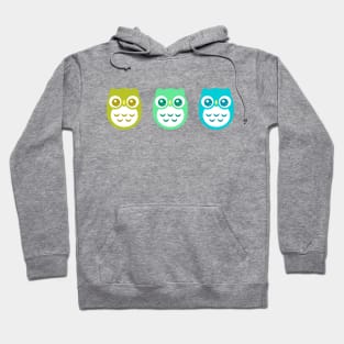 Green Aqua Blue Baby Owls Hoodie